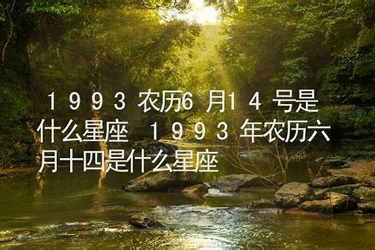 1993年农历6月28日是什么命