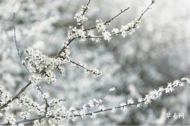 犯太岁的人如何过除夕生日