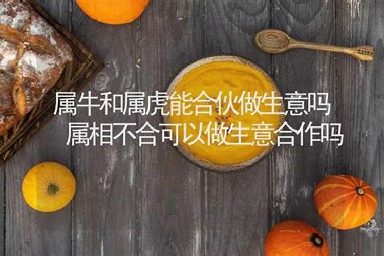 属相不合能做朋友吗