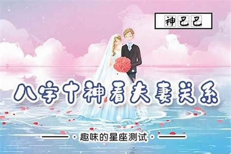 生肖虎和生肖兔合婚吗婚姻如何