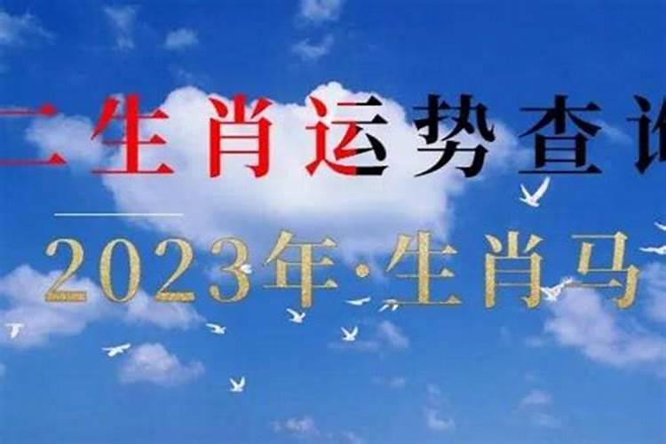 八字查询2023年运势详解