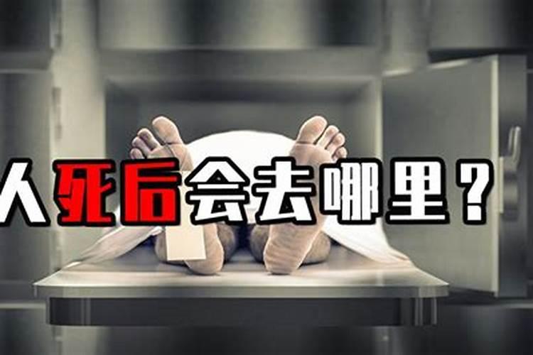 横死不能投胎是为什么