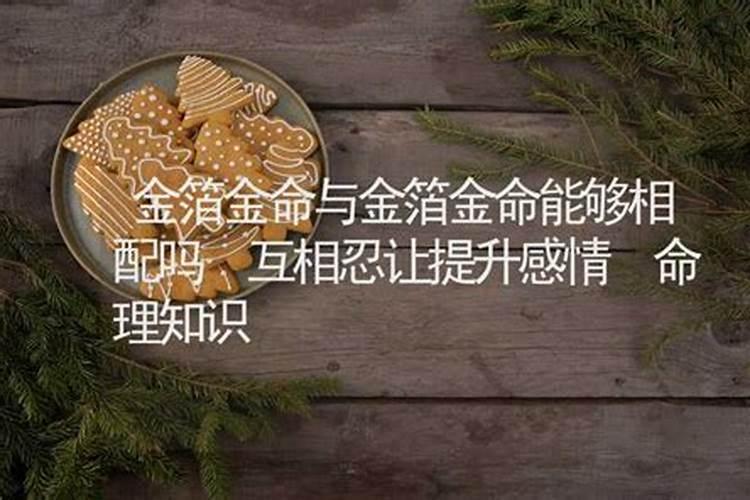 金命是什么意思？