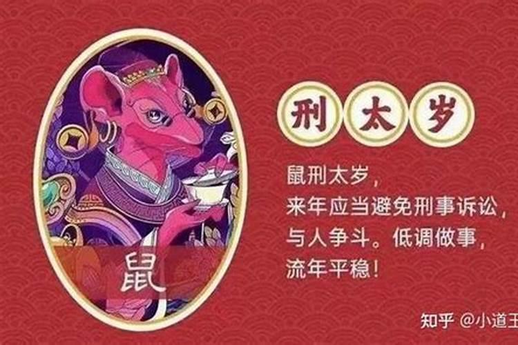 鼠年兔子犯太岁怎么化解