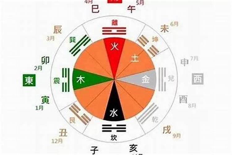 五行是出生的月份还是属相