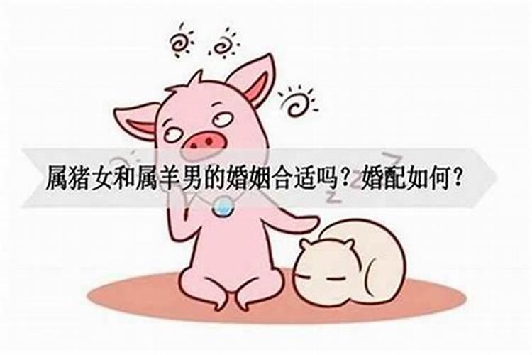 男鼠与女猪属相婚配好吗