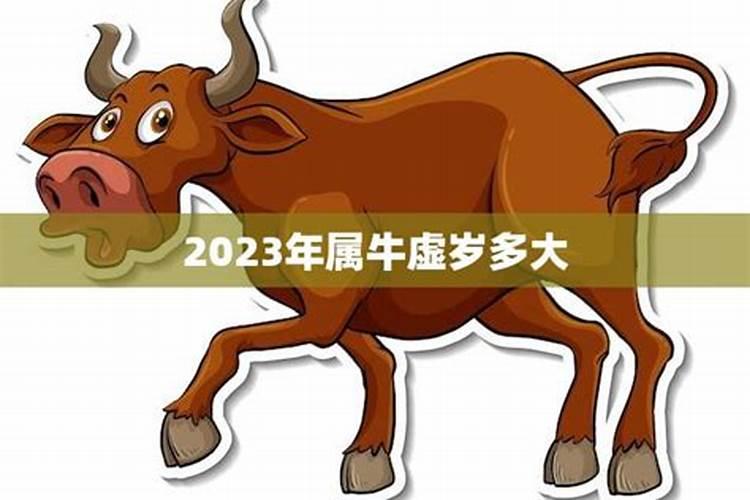 2023年属相牛多少岁