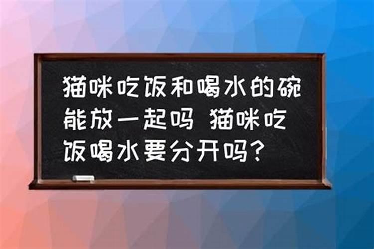 道教和佛教的挂件可以放一起吗