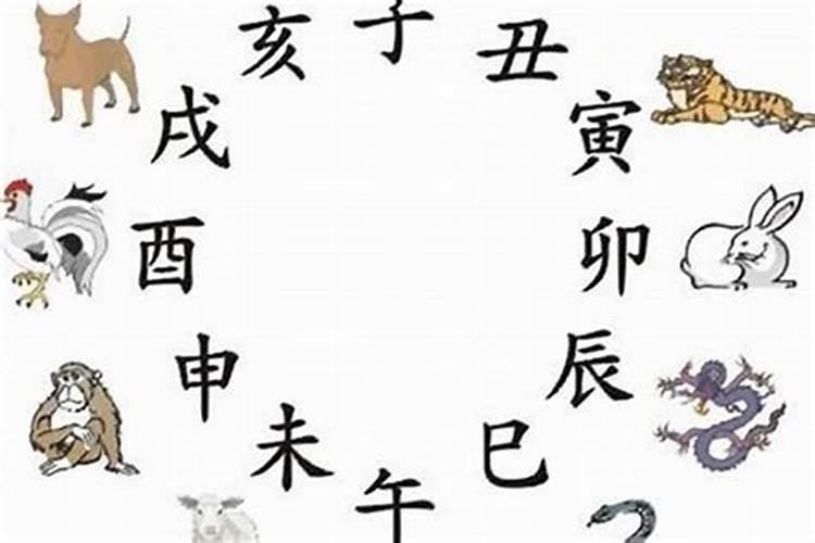 生肖一样的人八字合吗