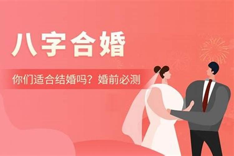 海中金命找什么命合婚