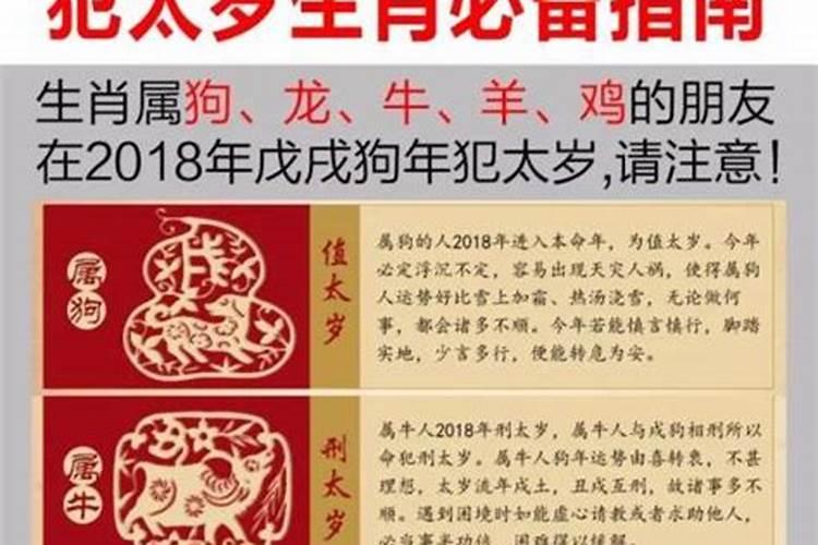 2020年属猴犯太岁吗生肖