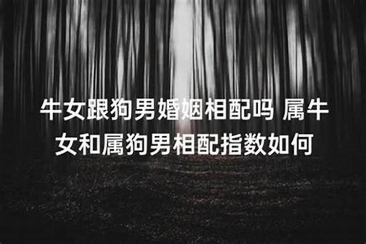 开财库的咒语念法大全