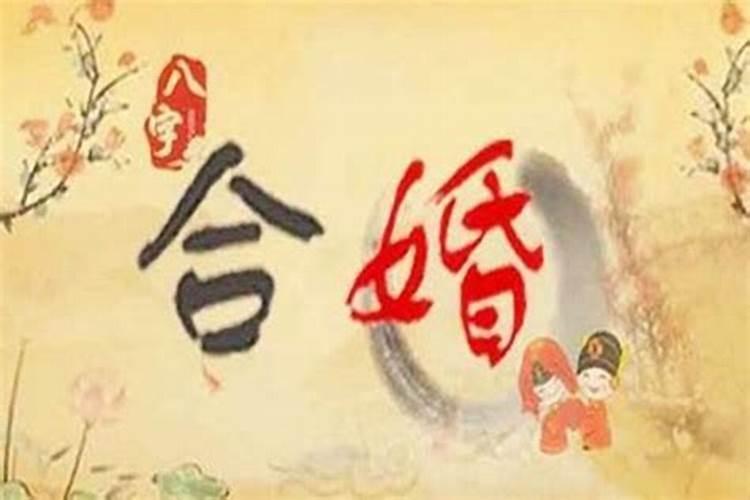 两个人非常有缘的八字