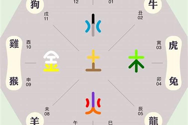 12生肖五行属性对照表图片