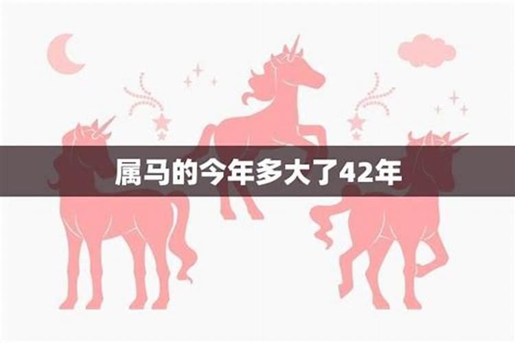 42年属马的2024年多大岁数