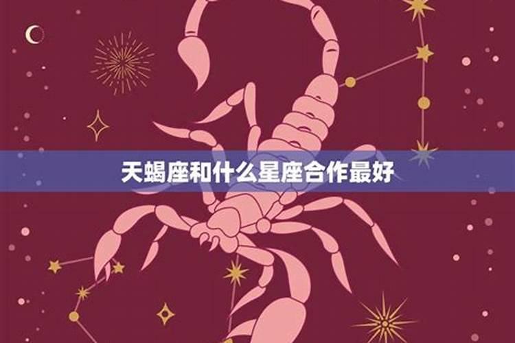 天蝎座和什么星座合婚