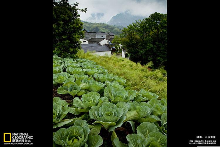 埋葬犯太岁怎么化解