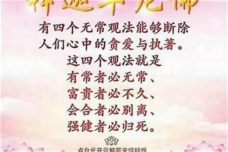 佛教有佛经道教有什么