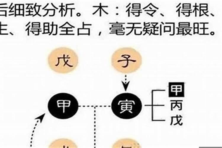 如何判断八字的软硬程度