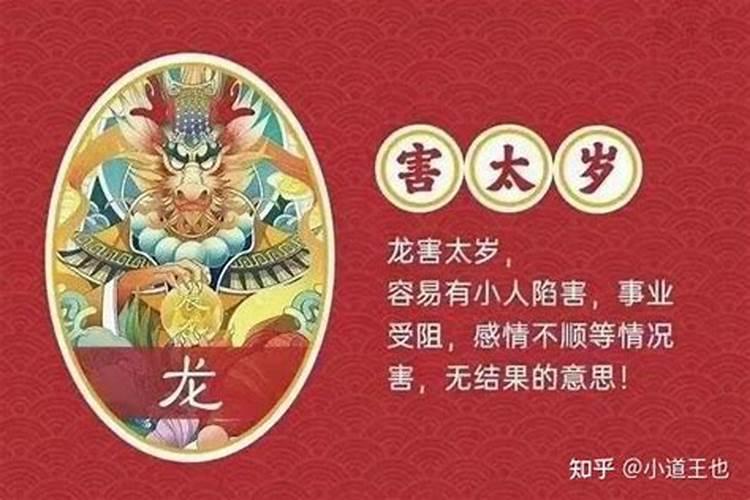 属龙犯太岁如何化解