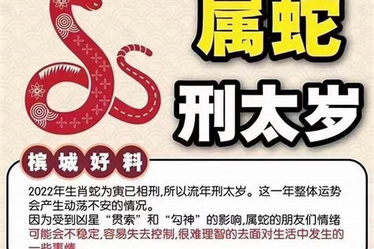 22年蛇害太岁的最佳解决方法