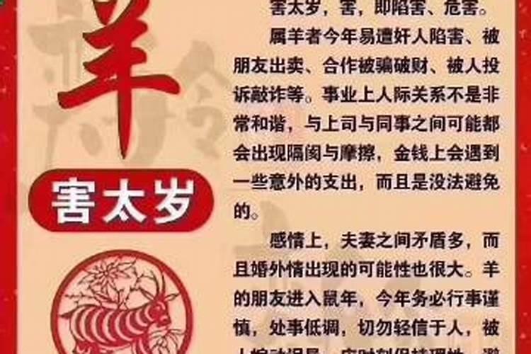 属马跟蛇合不合得来