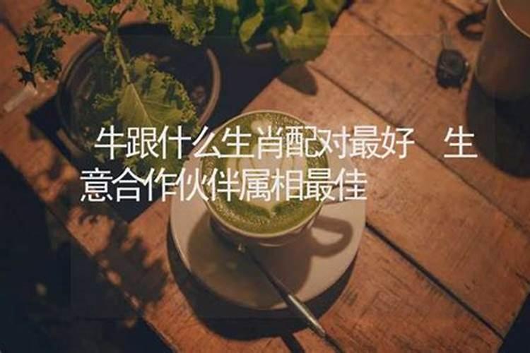 不能合伙做生意的属相，合伙做生意生肖合不合吗