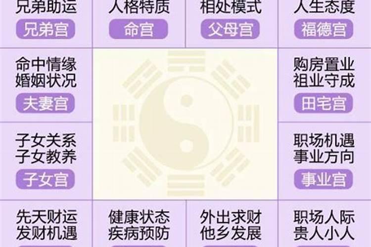 八字算命和紫微斗数哪个比较准