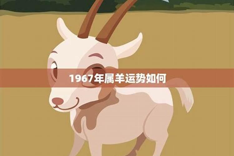 1967年属羊明年运势