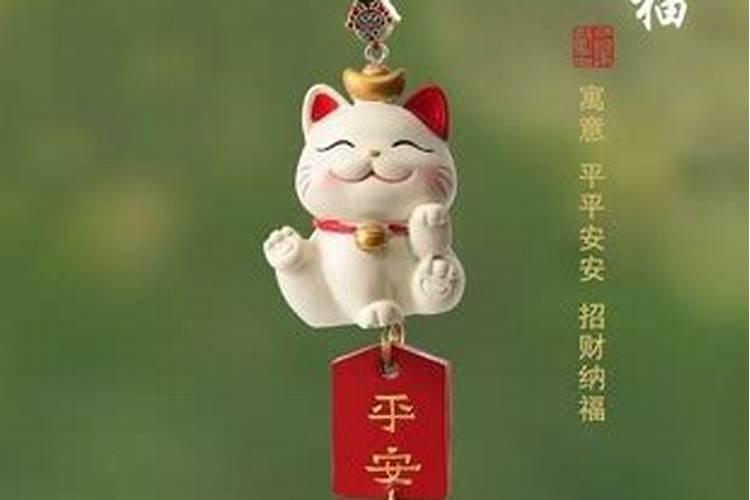 怎么为自己的猫猫祈福