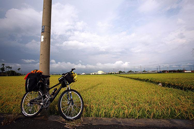 2025年犯太岁的生肖有哪些属相