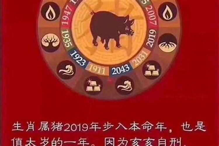 今年犯太岁的属相2019