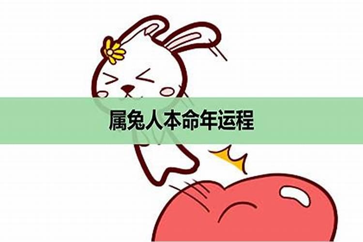 生肖兔本命年运势