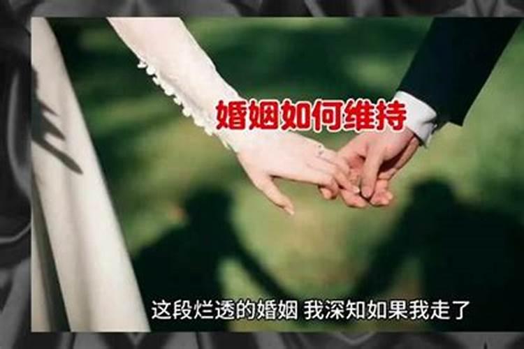 闪婚有感情吗