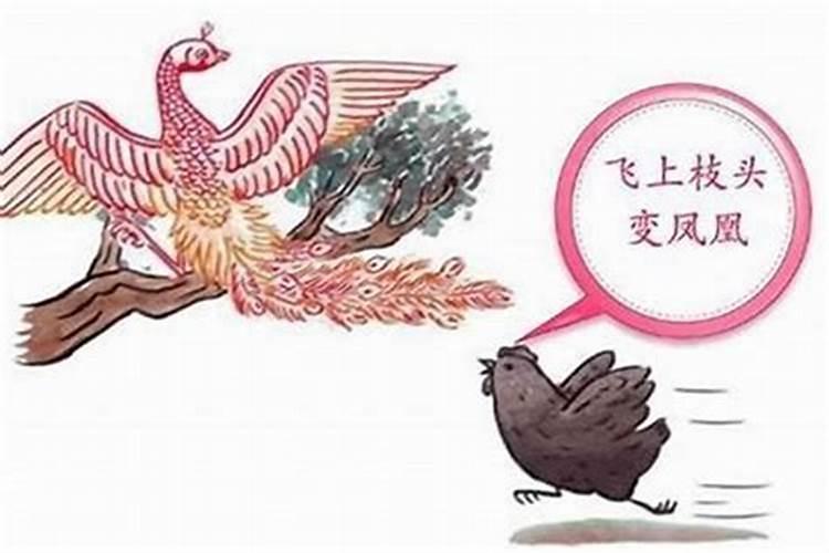 属鸡什么时辰出生最好？