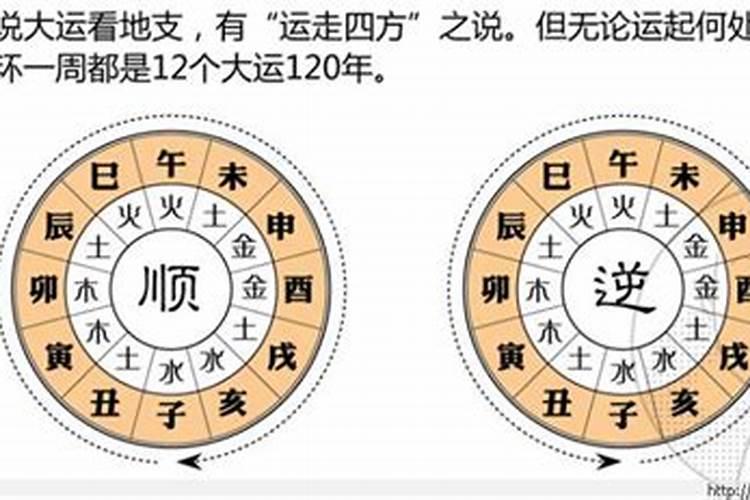 紫微斗数大限命盘详解