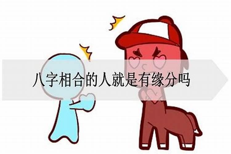 怎么看两个人的生辰八字合不合