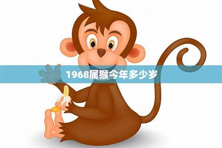 1968年属猴是什么命今年多少岁了啊