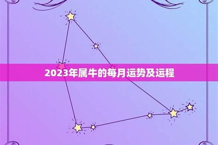 2023年牛年运势