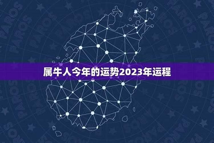 2023年牛年运势及运程1985麦玲玲