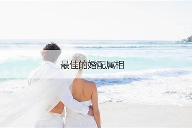 婚配属相不和怎么化解