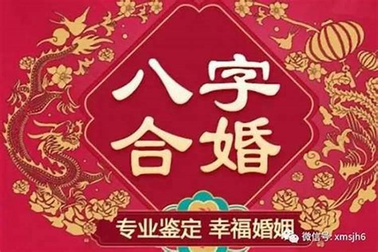 八字合婚可以查什么