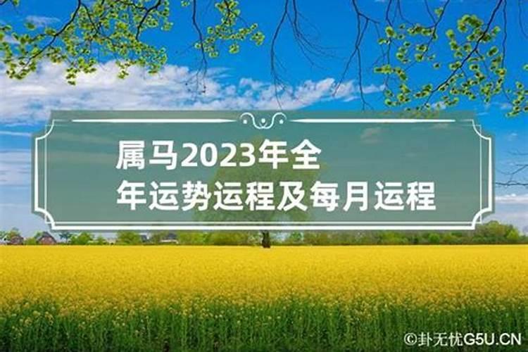 属马2023年运势及运程2022年属马人的全年运势