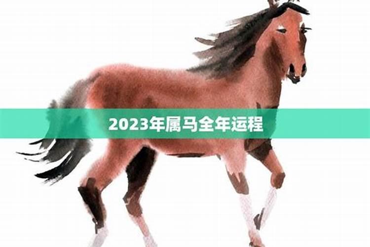 2023年属马人的全年运势女性有二胎