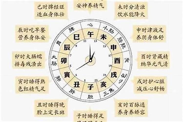 命理学属相是按什么划分