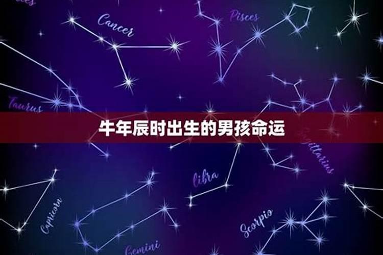 属牛的9月份出生好吗