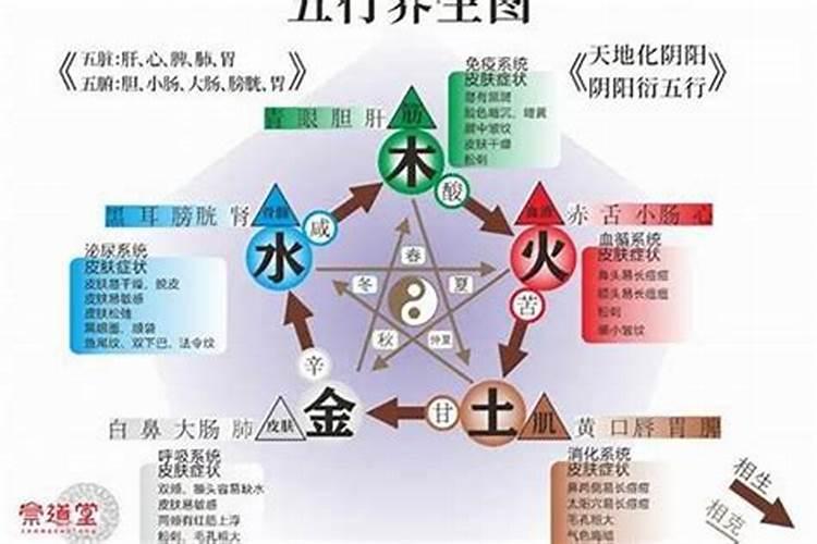 五行缺水和五行水旺的人