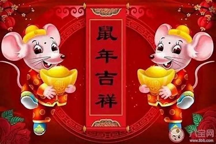 属鼠今年犯太岁吗2020