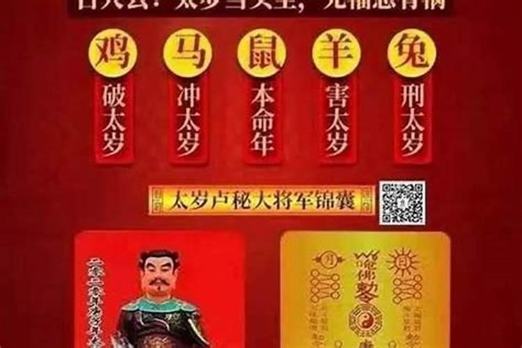 属鼠今年犯太岁吗2020