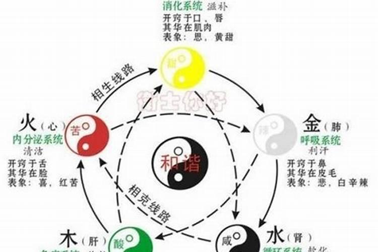 五行与养生的关系怎么解释